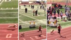 PERRITA con alma de Usain Bolt compite en CARRERA FEMENINA de velocidad y gana: VIDEO