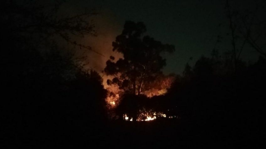 Se registra incendio en la Tercera Sección de Chapultepec; bomberos y Protección Civil ya lo combaten: VIDEO