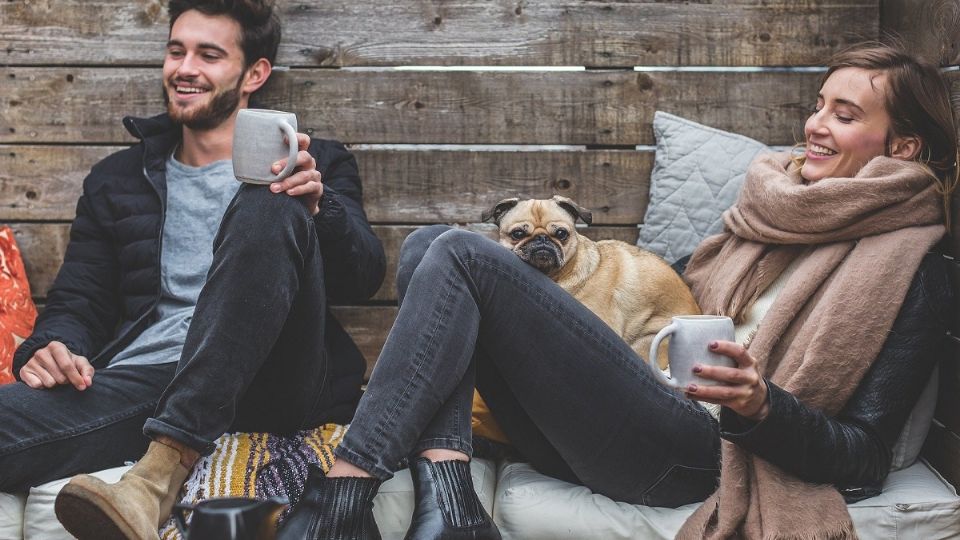 Después de un divorcio, se tramitará la custodia compartida de la mascota.