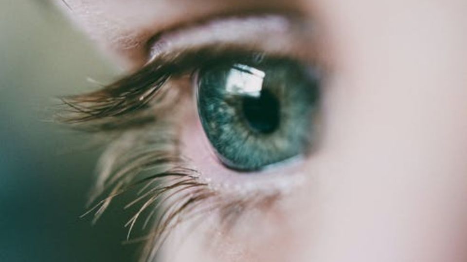 El Síndrome de Ojo Seco puede afectar a más de 2 mil millones de personas que pasan muchas horas frente a una pantalla. Foto: Especial