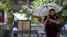 Frente Frío 26: Estos son los estados que tendrán fuertes heladas, lluvias intensas y rachas de viento