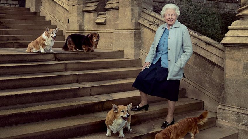 CORGI: un perro Real de la reina Isabel de Inglaterra, más que mascota, hasta película tiene