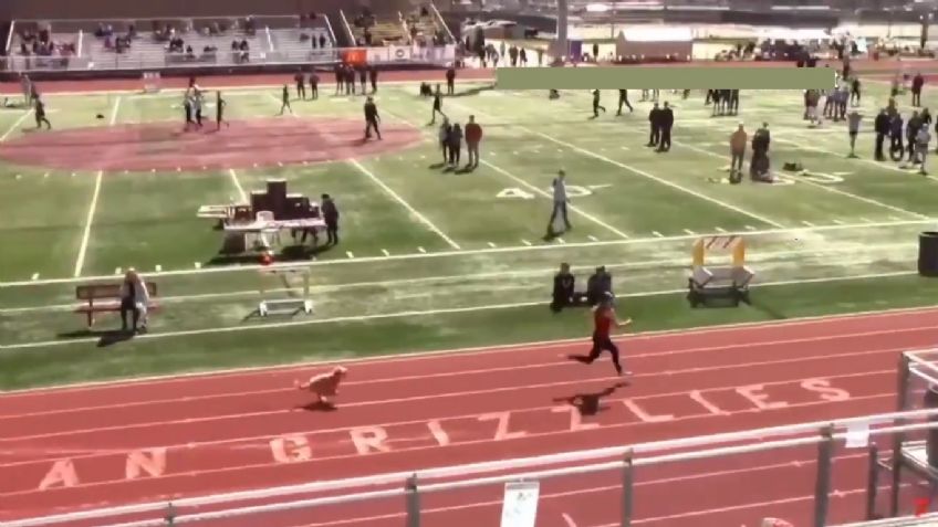 VIDEO VIRAL: Perrita se cuela en una carrera y se roba el triunfo con facilidad