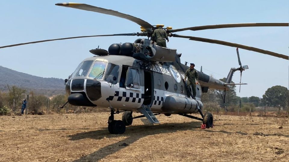 La autoridad local resaltó que el incendio en el Cerro del Águila se atendió desde su detección Foto: Especial