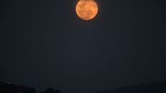 SUPERLUNA ROSA ABRIL: Voltea al cielo ahora, la luna más grande y brillante del año está en todo su esplendor