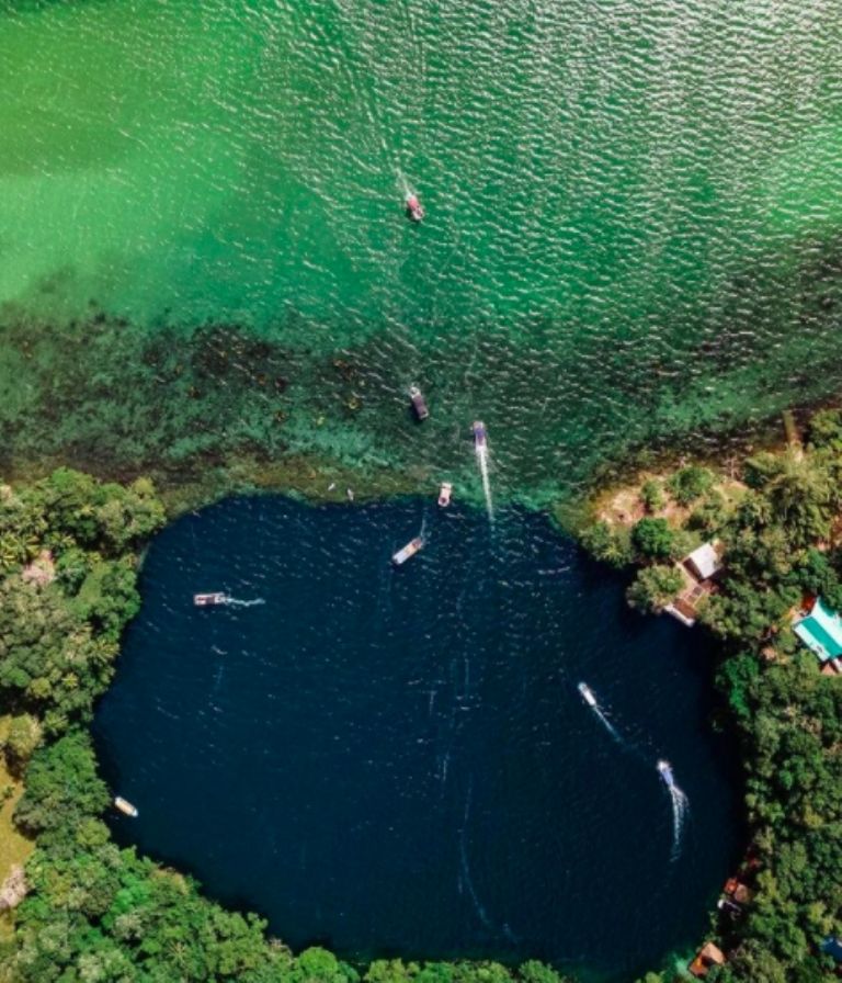 bacalar