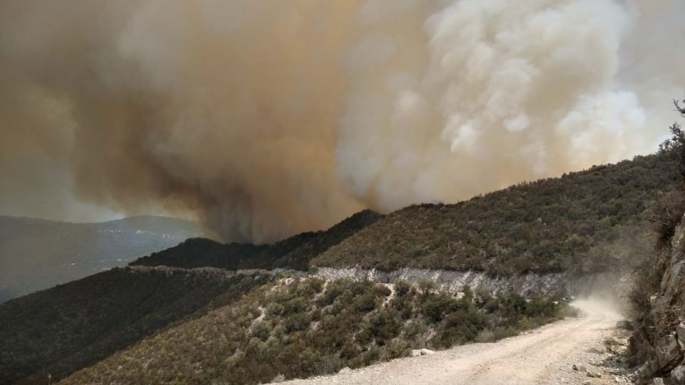 Las autoridades ya buscan a los responsables de haber reactivado el incendio en el municipio. Foto: Especial