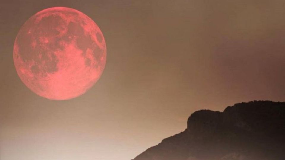 Superluna rosa hoy 26 de abril: a qué hora ver el fenómeno astronómico. Foto: Especial