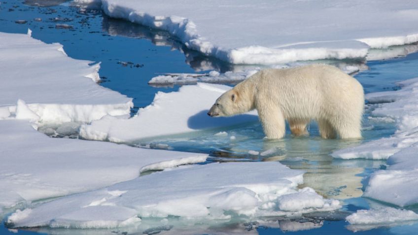 ¿En riesgo la vida en la Tierra? Calentamiento global desplaza los polos sur y norte