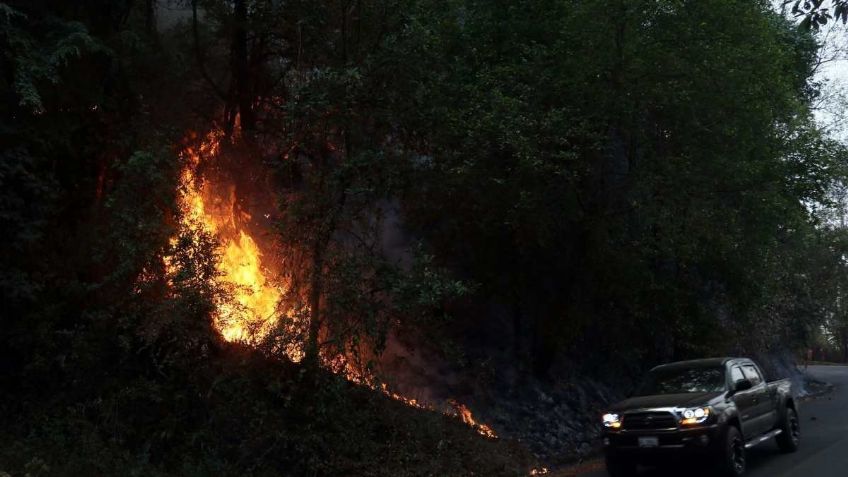 Sentencian a personas que provocaron el incendio en Tala, Jalisco