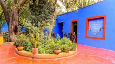 5 razones para visitar la Casa Azul- Museo Frida Kahlo en Coyoacán este fin de semana