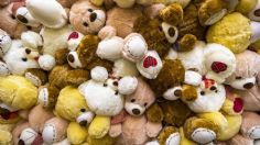 ¿Sabes por qué se llaman Teddy los osos de peluche? Te lo explicamos