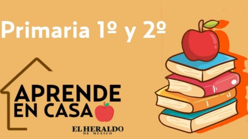 Preguntas Aprende en Casa 3 SEP | Primaria 1° y 2° grado, 28 de Abril: actividades y respuestas