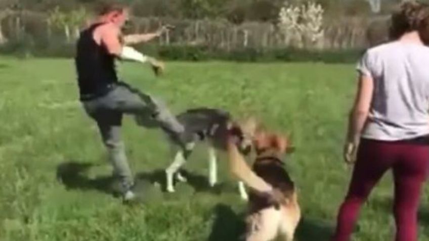 Conocido entrenador de mascotas es captado maltratando perros: VIDEO