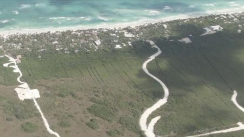 Ambientalistas y académicos piden un freno a la devastación de Tulum