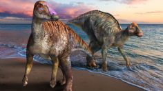 Descubren nueva especie de dinosaurio 'pico de pato'; estaba más evolucionado que sus pares