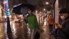 Caen 8 árboles y 3 estructuras por las lluvias de hoy en la CDMX