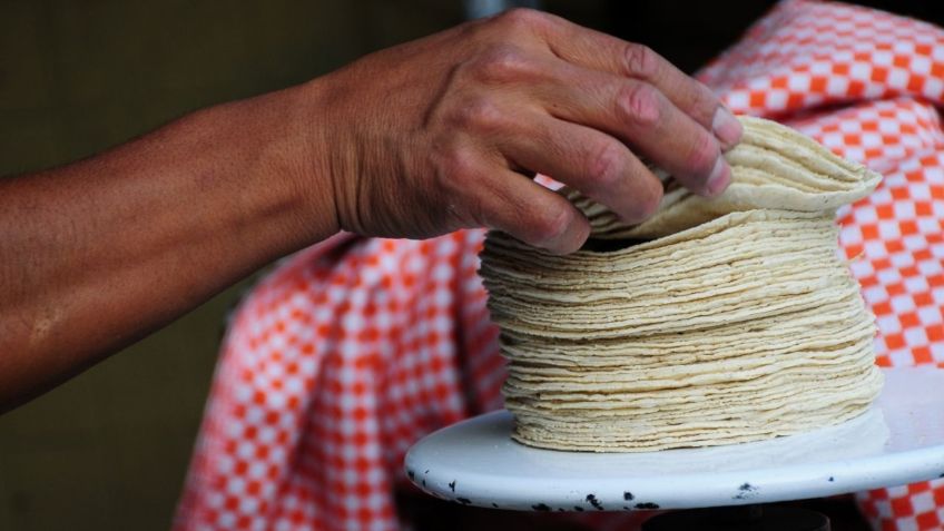 ¿Precio de la tortilla subiría a partir del 1 de julio? Esto sabemos