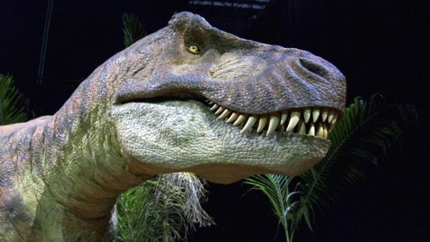 Día del Niño: Estos son excelentes lugares para ver DINOSAURIOS en la CDMX