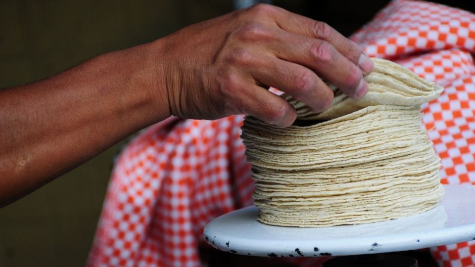 ¿El kilo de tortilla aumentará en julio? Foto: Cuartoscuro