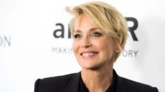 Sharon Stone, la actriz de “Bajos instintos” que no volvió a ser contratada por ser discapacitada