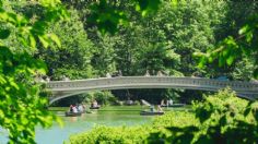 Parque Tangamanga I: El destino verde mexicano que supera a Central Park