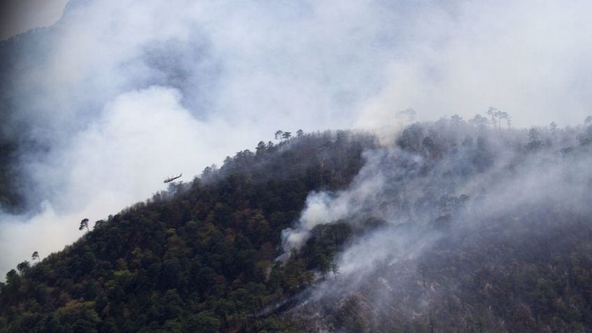 Emiten declaratoria de emergencia para 4 municipios de Nuevo León tras incendios forestales