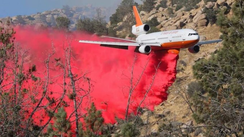 Autoridades reportan 55 incendios activos en 16 estados de México: VIDEO