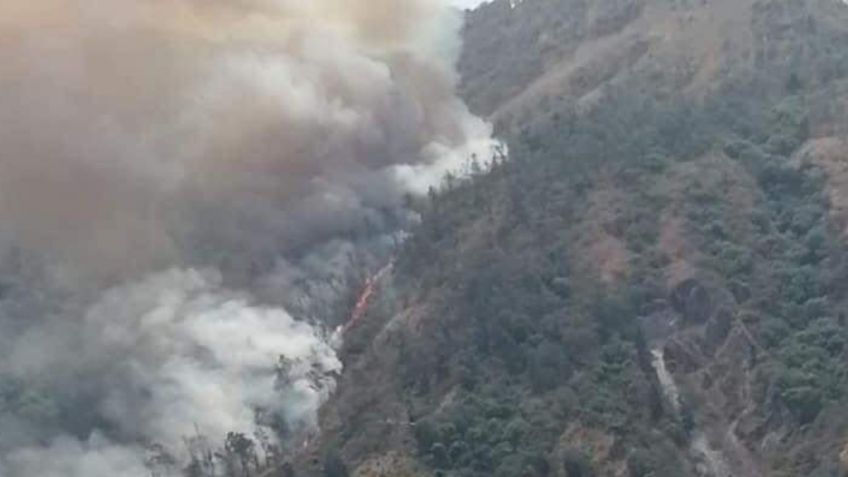 Nayarit: Incendio forestal en Tepic, deja un muerto