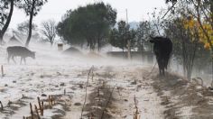 ¡Cuidado! En estos estados podrán caer granizadas hoy, 14 de mayo