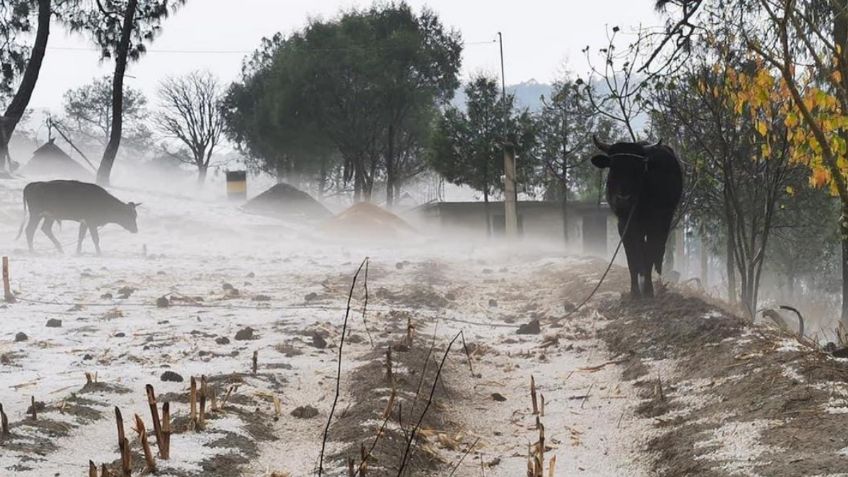 ¡Cuidado! En estos estados podrán caer granizadas hoy, 14 de mayo