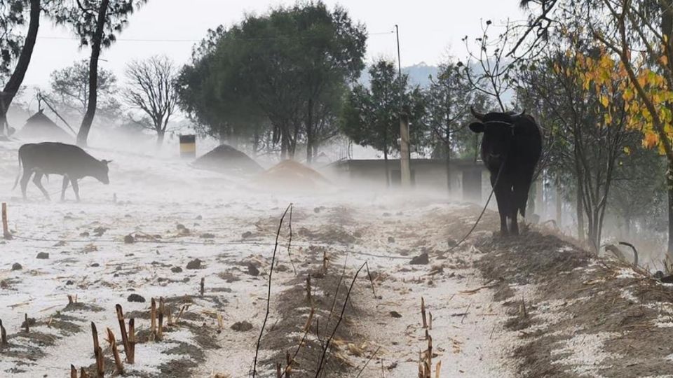 En Coahuila, Tamaulipas y Nuevo León se esperan granizadas, chubascos y lluvias fuertes puntuales.