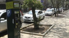 Parquímetros en CDMX: Paso a paso esta es la nueva manera de pagar multas