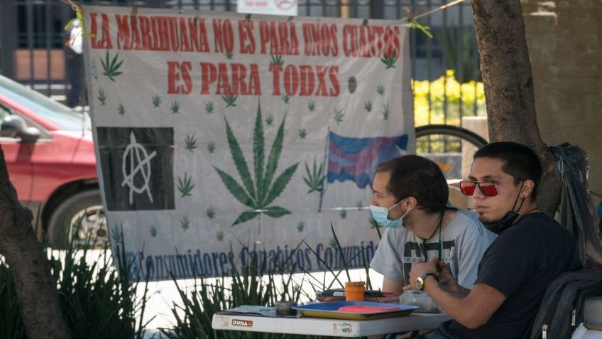 Fast track, regulan uso lúdico de la marihuana