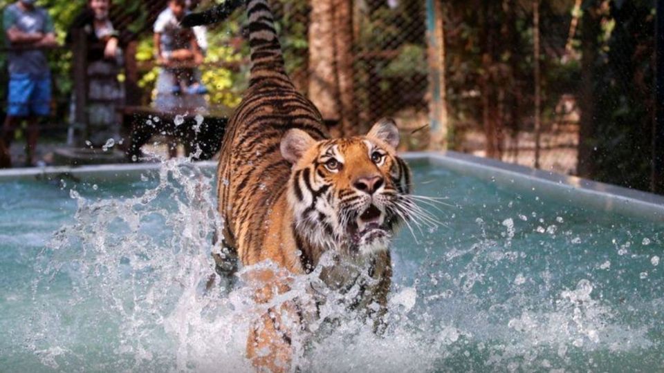 El también conductor de televisión dijo que  de actuar existe la posibilidad de salvar un promedio de 100 animales