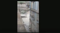 Veracruz: el municipio de Alvarado se llena de aguas negras; VIDEO