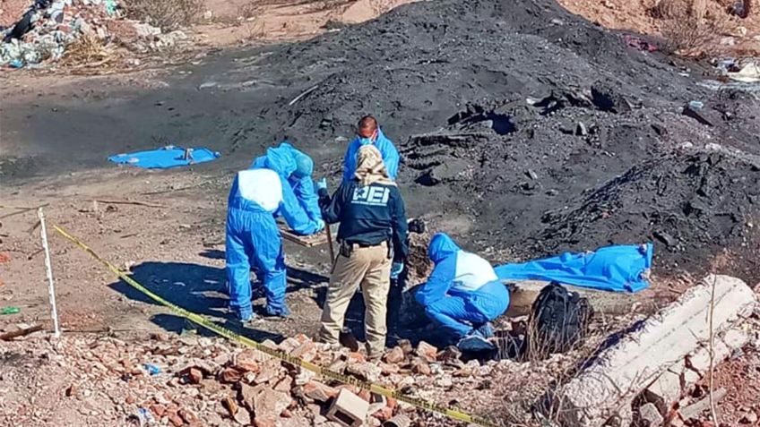 Sonora: Colectivos de búsqueda encuentran fosas clandestinas con cuerpos enterrados y calcinados