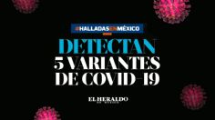 Reporte Salud: Identifican 5 cepas de COVID-19 en México