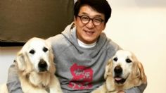 Jackie Chan rechazó protagonizar esta película y ahora está nominada al Oscar 2023