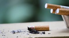 FDA prohibirá la venta de cigarros MENTOLADOS y de sabores, ¿son PELIGROSOS?