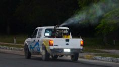 Quintana Roo inicia operativos contra el dengue, zika y chikungunya