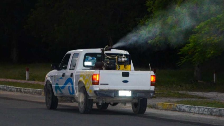 Quintana Roo inicia operativos contra el dengue, zika y chikungunya