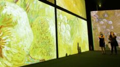 Van Gogh Alive: ¿Vale o no la pena visitarla? Te damos los pros y contras