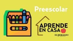 Preguntas Aprende en Casa 3 SEP | Preescolar, 13 de mayo: actividades y respuestas