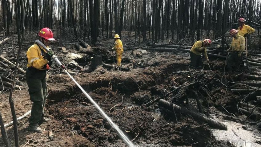 Sofocan incendio forestal en Puerto Vallarta, Jalisco y desactivan alerta atmosférica