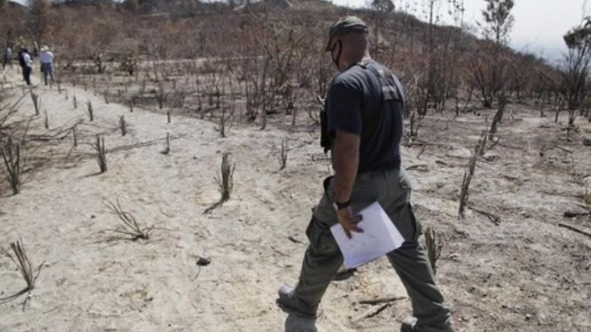 Tras denuncia de incendio en Tlajomulco, levantan infracción por cambio de uso de suelo