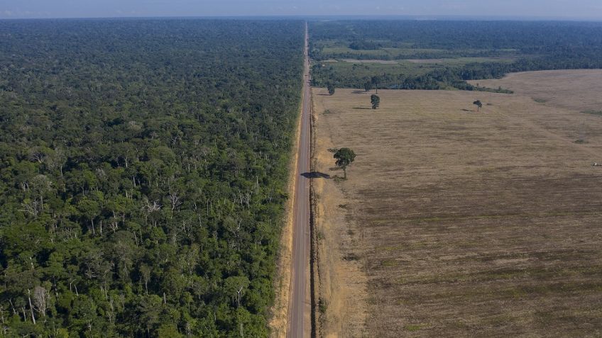 ONG británica acusa a famosas marcas de ropa por deforestación en selva brasileña