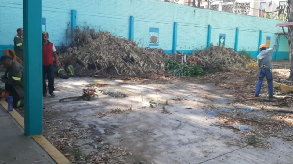 Entre las labores de mantenimiento se encuentran: poda, recolección de basura, aplicación de pintura y limpieza en general. Foto: Especial