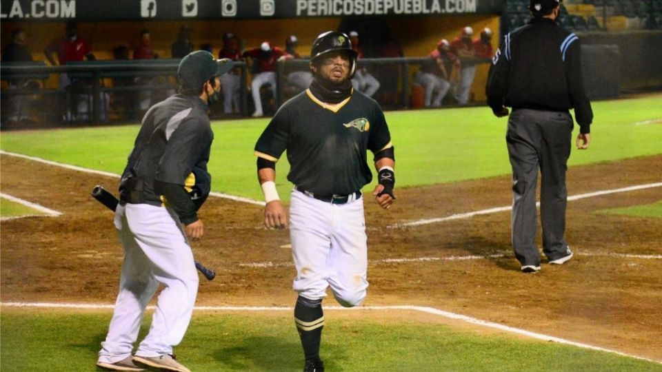 Los Pericos innovarán este año, pese a las limitaciones de la liga, tras el inicio de la pandemia por COVID-19 Foto: Especial