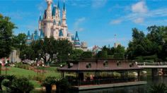 Desde 2016 más de 200 caimanes han sido capturados en Disney World